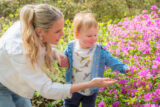 A parent and child examine pink flowers outdoors on a sunny day