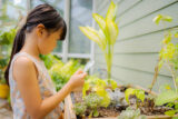 A child with long dark hair uses a magnifying glass to observe green plants