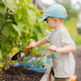 A child in a gray shirt and blue baseball cap uses a trowel to shovel soil