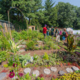 a group of people observing different garden beds outside