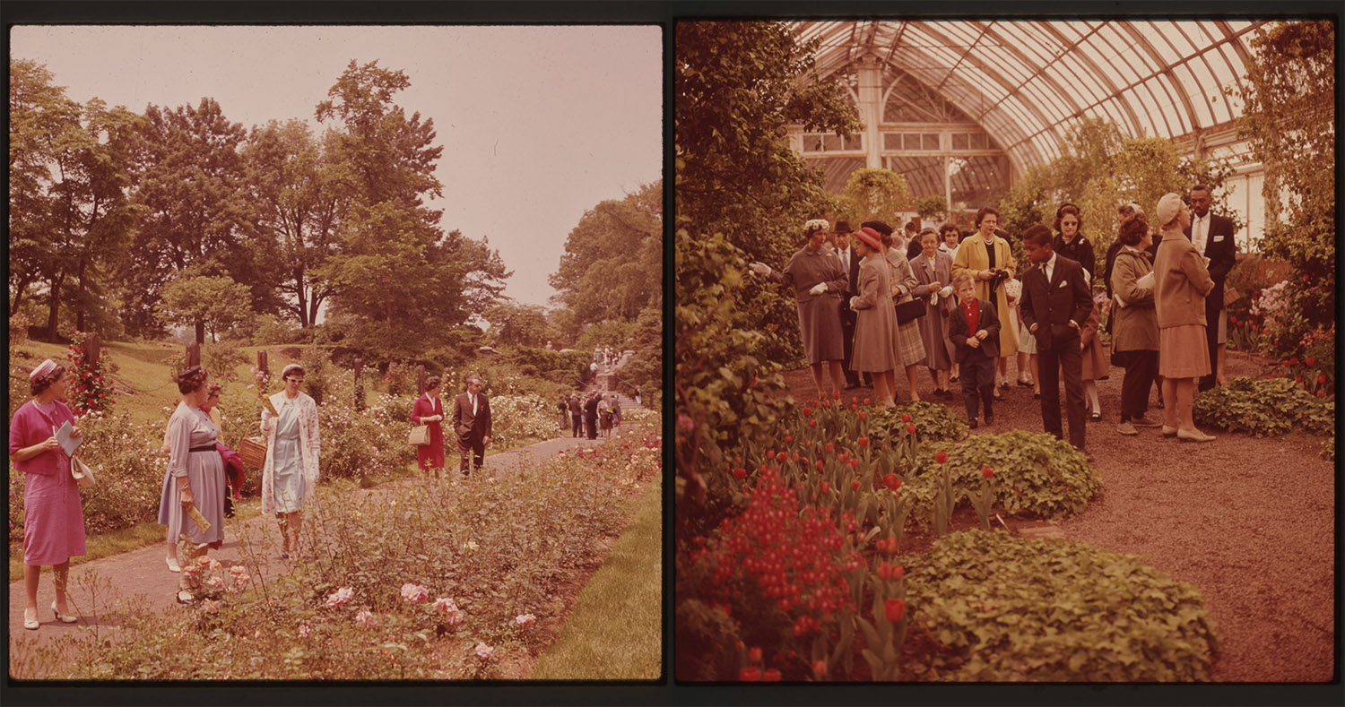 Two images of people exploring indoor and outdoor gardens