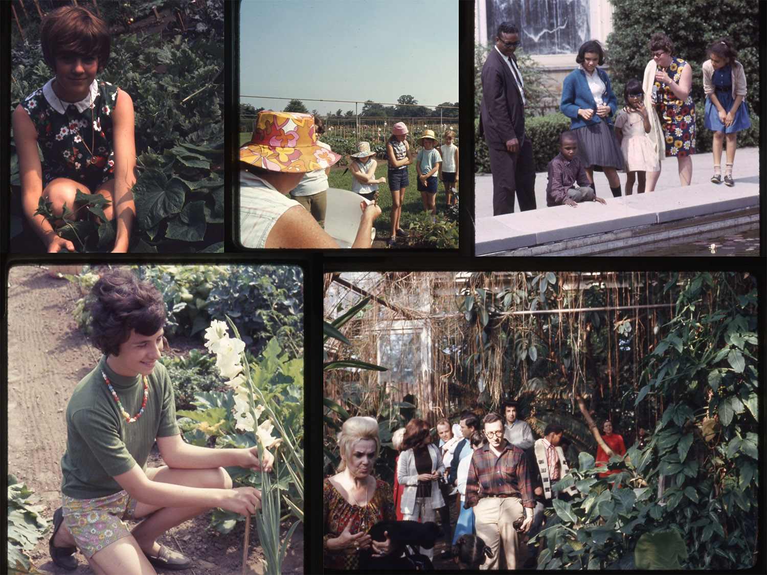 Five images of people performing various garden tasks on a sunny day outdoors