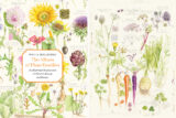 A book cover of colorful botanical illustrations, including flowers and vegetables