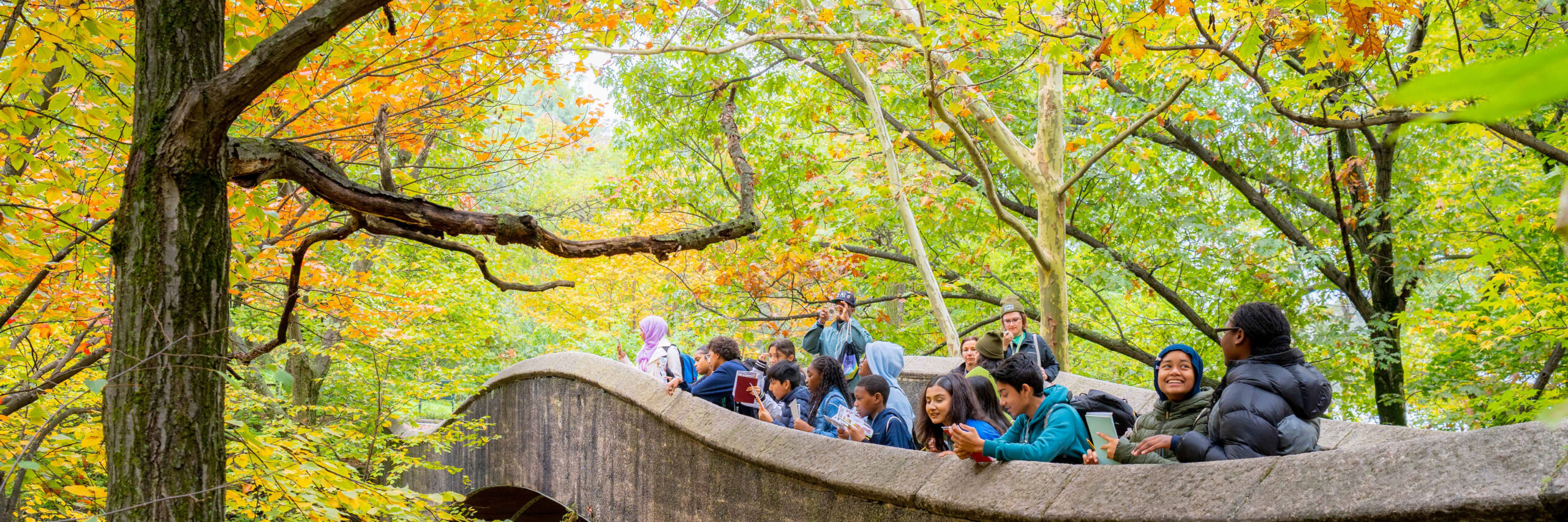 A group of young students stands on a bridge overlooking a forest in fall