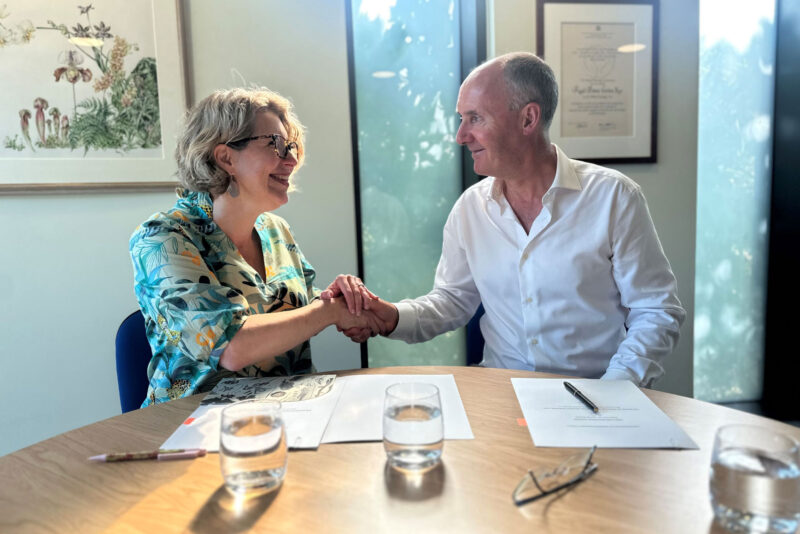 Two people shake hands in a sunny conference room setting, with papers and pens laid out before them