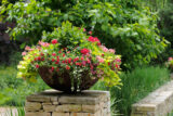 A large bowl-shaped container with floral potted plants placed in an outdoor garden