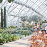 A family of three explores a bright conservatory setting, surrounded by green plants and orange flowers