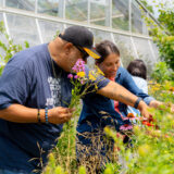 Two people in summer clothes pick and examine colorful summer flowers together in a garden setting
