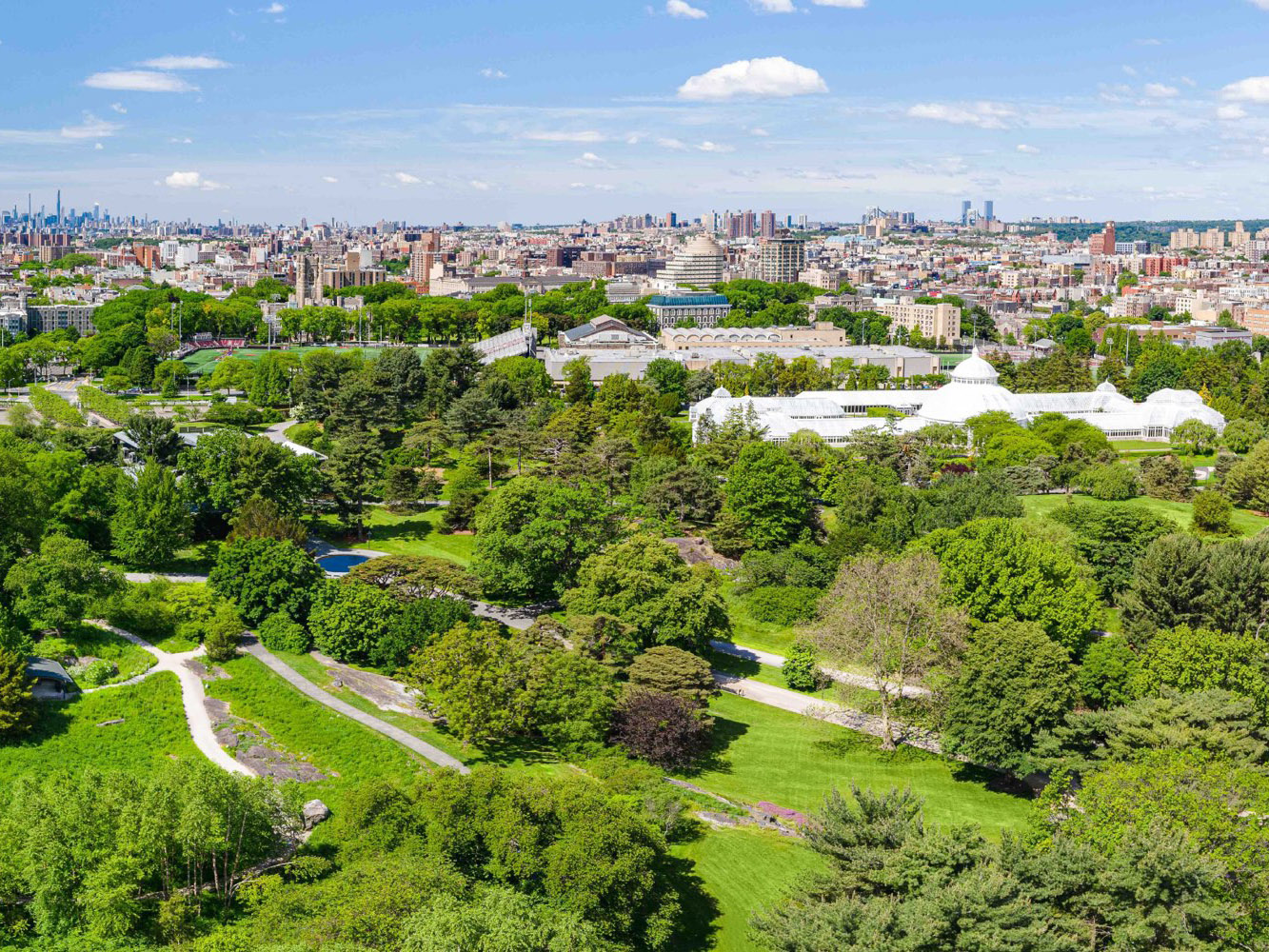 An aerial photo of a green, tree-filled landscape, with a city visible in the background