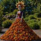 catrina rendering