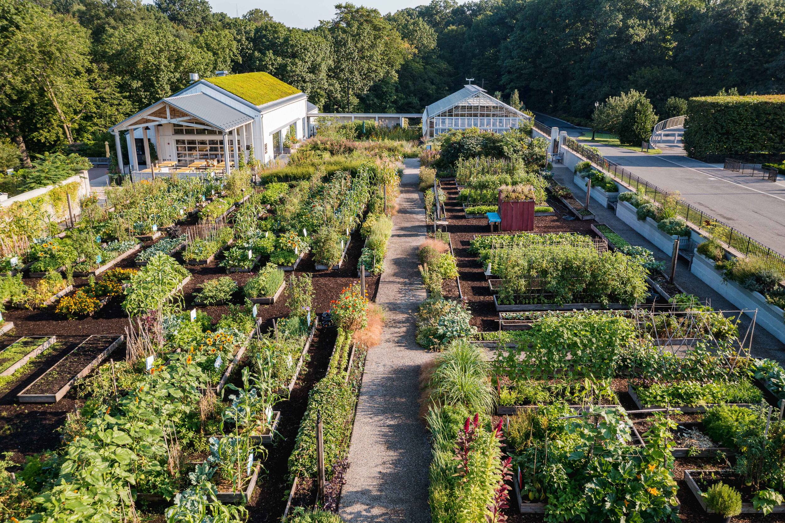 An aerial view of a vegetable garden