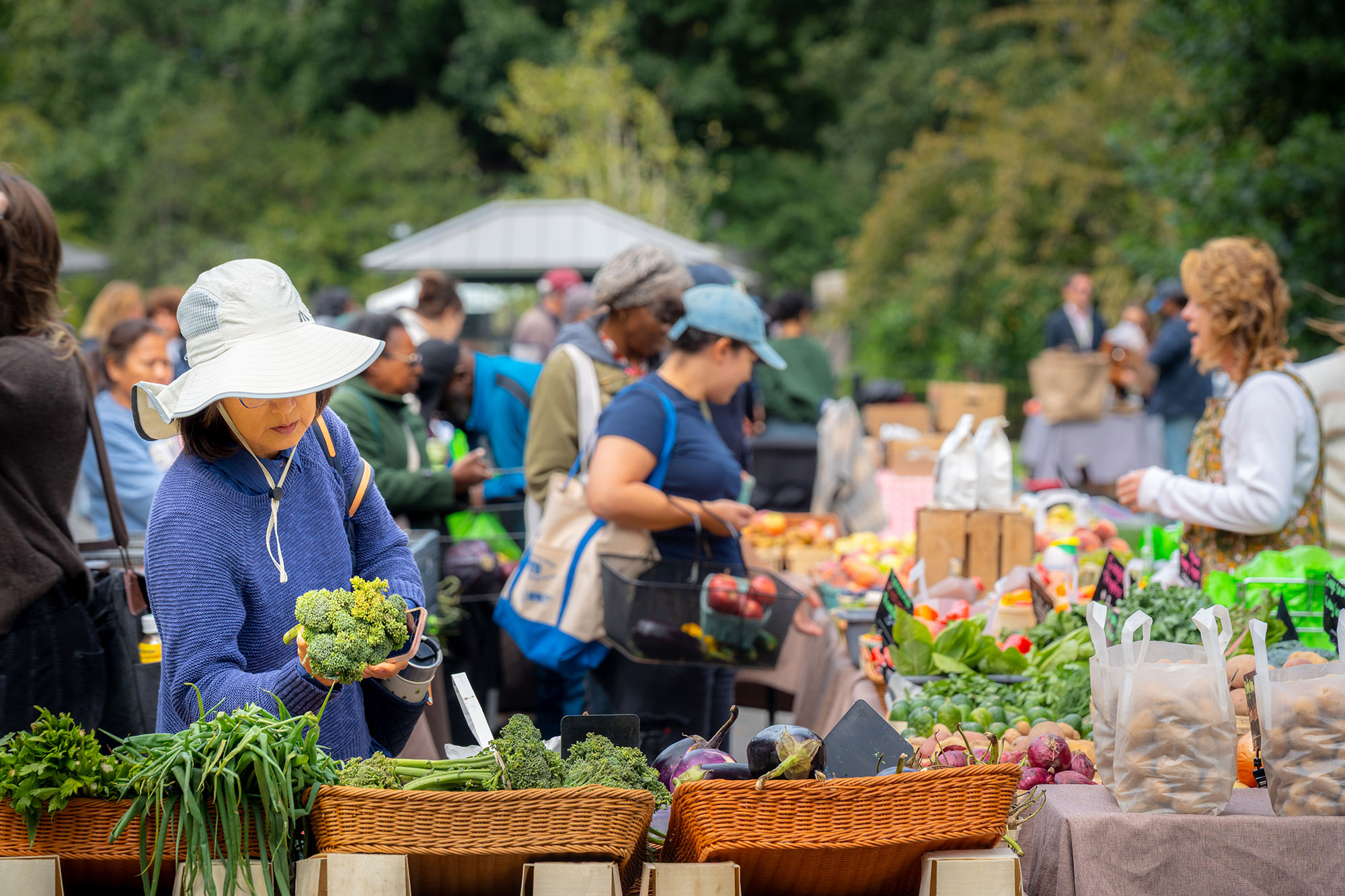 A person in a bucket hat peruses green vegetables in baskets during a farmers market
