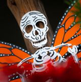 Skeleton with monarch butterfly wings mco dsc00704 web
