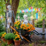 A pair of skeleton puppets sit in a wheelbarrow full of orange flowers mco dsc01601 web