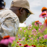 Two people in baseball caps lean over to observe a field of pink flowers among green foliage