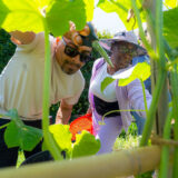a view of two people through large green stems