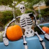 Skeleton with pumpkins mco m10r0818 web