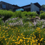 A view of a low-slung black building surrounded by green plants and wildflowers under a blue sky