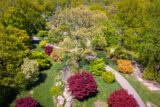An aerial photo of paths winding among green and red trees in a sunny garden setting