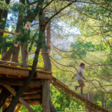 A child explores a tree top walk on a sunny day outdoors