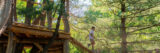 A child explores a tree top walk on a sunny day outdoors