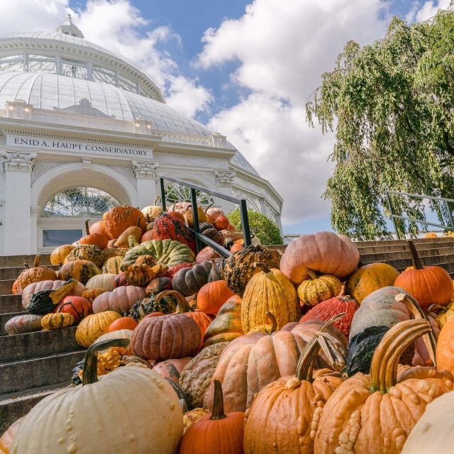 The tricks and treats of fall come to the Garden this year with plentiful pumpkins, hordes of gourds, and all sorts of ways to celebrate this season of frights and foliage! 🎃🍁

Fall-O-Ween at NYBG brings special weekends of pumpkin parades and carving face-offs, as well as the return of our beer sampling weekend for adults—newly reimagined for 2022. Evening events give kids the chance to show off their Halloween costumes, artisan demos share the flavors of the season with food and drink talks, Japanese chrysanthemums will be on view in the Conservatory, and so much more as the leaves transition to oranges, yellows, and reds.

Hope you've got your costume ready! Hit the link in our bio to learn more about our Fall-O-Ween events.

#FallOWeen #plantlove