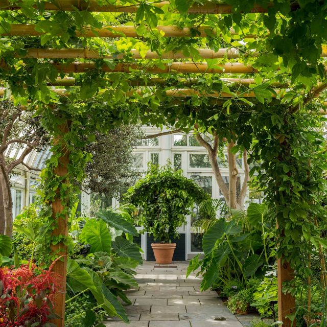 Whether you're exploring our outdoor paths, taking in the waving fields of grain that frame the Haupt Conservatory, or here inside our landmark glasshouse admiring the myriad fruits and vegetables vining along the trellises, Around the Table: Stories of the Foods We Love offers a summer escape for every taste. 🥭🍠

Hit the link in our bio to learn more about this expansive exhibition at the Garden, continuing through September 11.

#AroundTheTable #FoodStories #plantlove