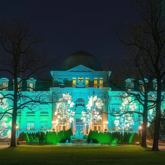Are you as excited as we are for the grand opening of the Holiday Train Show and NYBG GLOW this weekend? Discover the Garden after dark with increased choreographed lights and sound, more illuminated botanical displays inspired by the centuries of history in our Steere Herbarium, and so much else to explore. 🚂🌟
 
Can you tell which tree species this is lighting up our Library Building? Share your answers in the comments!🌲
 
The ultimate holiday nights out are right here in the Bronx, with thousands of energy-efficient lights, picture-perfect installations to discover, and the beloved Holiday Train Show inviting you into a twinkling world of landmark replicas and zipping model trains. Stay tuned for more as we kick off the largest outdoor holiday light experience in NYC, and hit the link in our bio to get your tickets!
 
#HTSNYBG #NYBGglow #plantlove