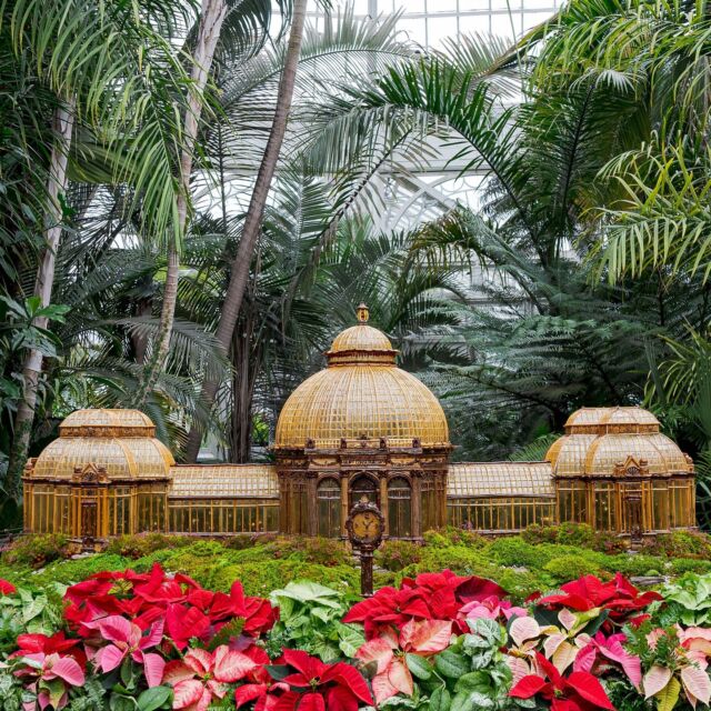 While you’re celebrating this week’s feasting and festivities, spend some time resetting in New York City’s most beautiful 250 acres. 🚂🌲🦃
 
Now that the Holiday Train Show and NYBG GLOW are on view, the Garden is the place to be for family activities this holiday season! We’ll be open through Wednesday night this week, and reopened on Friday for you to experience this beloved tradition in the Haupt Conservatory all weekend long, with trains zipping among an extraordinary collection of familiar landmark replicas made from botanical materials. And be sure to stop by after dark to experience the wonder of NYBG GLOW this Wednesday, Friday, Saturday, and select nights into January 2023, featuring choreographed lights and sound in NYC’s largest outdoor holiday lighting experience.
 
The Garden is the place to be for the holidays, indoors and out—hit the link in our bio to get your tickets!
 
#HTSNYBG #NYBGglow