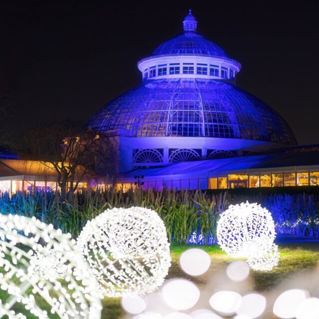 From everyone here at The New York Botanical Garden, here's wishing the happiest of holiday seasons to each of you, with hopes for the company of friends, family, and loved ones, and a beautiful winter to come! 🦃❄️

We're closed for today, but we'll be open again tomorrow and throughout the weekend with The Holiday Train Show, NYBG GLOW, and 250 acres of late fall to explore here in the Bronx.

#NYBGglow #HTSNYBG