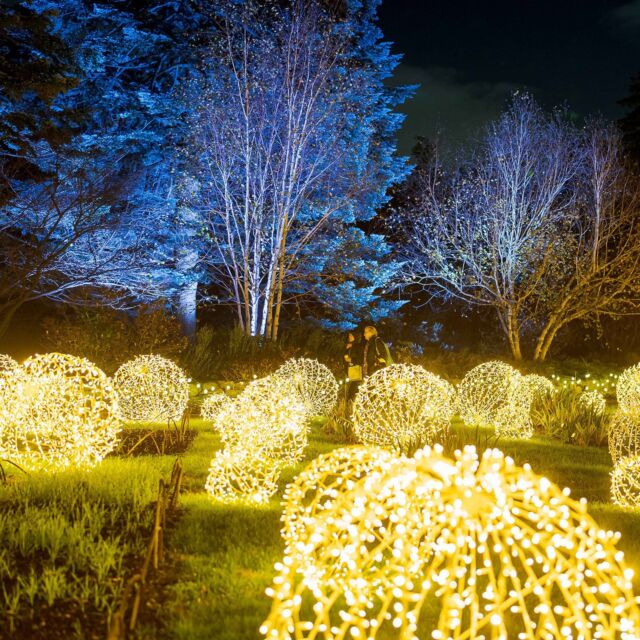 NYBG is home to the beauty of winter, and with NYBG GLOW + the Holiday Train Show still lighting up nights at the Garden this Saturday and next, January 7 & 14, you don’t have to let go of the season’s cheer just yet! 🎁🥂💡

Join us as we continue to ring in the new year on these special evenings of music, warming spiked drinks, hot bites, and all the dazzling choreographed light and sound of NYC’s largest outdoor holiday light experience. Hit the link in our bio to grab tickets while they’re available!

#NYBGglow #HTSNYBG