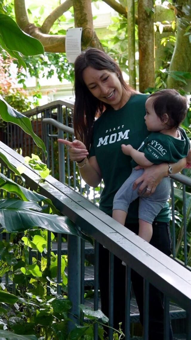 Whether you’re a long-time plantsperson or just getting started with your green thumb, you’re invited to join NYBG’s Plant Family! 💚🌿

Our new line is the perfect way to show your plant pride or share it with a loved one—and support the passion for plants with designs everyone can enjoy! These collegiate-inspired t-shirts are offered in “Plant Mom,” “Plant Dad,” and “Plant Kid” designs, and you can also grab an NYBG tote bag featuring our “Plant Person” design. Hit the link in our bio to check out what’s on offer, and share your love of the botanical world with NYBG Shop this spring.

#NYBGshop #PlantFam #plantlove