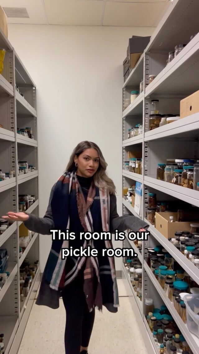 Did you know that NYBG has a pickle room? Don’t get too hungry — they aren’t exactly for eating. 🥒🫙🔬
 
Take a peek behind the scenes at some of the fascinating ways we study plants at our Pfizer Plant Research Lab with the help of Leeann Dabydeen, our Laboratory Manager. #plantlove