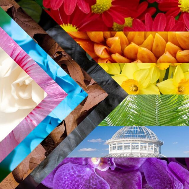 Happy #Pride Month from all of us here at NYBG! 🌈🪴
 
Join us throughout the month of June as we celebrate the history and contributions of the LGBTQ+ community in the botanical world—and take part in hands-on activities, hear stories from activists in our field, learn about the cultural significance of fascinating botanical specimens in our collection, and more. 
 
Be sure and grab your tickets for our June 10 celebratory Pride event at the Garden featuring live music, DJ sets, and a runway show presented by @BronxFashionWeek—we can't wait to see you! Hit the link in our bio to learn more and get yours today.
 
#NYBGpride #PrideMonth #plantlove