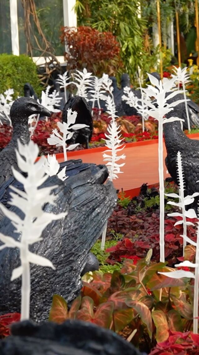 See the Garden exhibition that @timeoutnewyork calls “powerful” and “stunning” as “…things come to thrive…in the shedding…in the molting…” continues this weekend.

Unlike any NYBG show before it, contemporary artist Ebony G. Patterson brings her signature style to the Enid A. Haupt Conservatory, as well as the Garden’s landscape and galleries, with provocative mixed media installations and thought-provoking displays that invite you to dig deeper into the very idea of a garden—to discover the secrets hidden beneath.

Get a sneak peek at the moments you’ll soon explore—from ghostly sculptures of now-extinct plants to swarms of glitter-encrusted vultures—as the exhibition continues through September 17. Hit the link in our bio to get your tickets today.

#EbonyGPatterson #EbonyGPattersonNYBG #plantlove