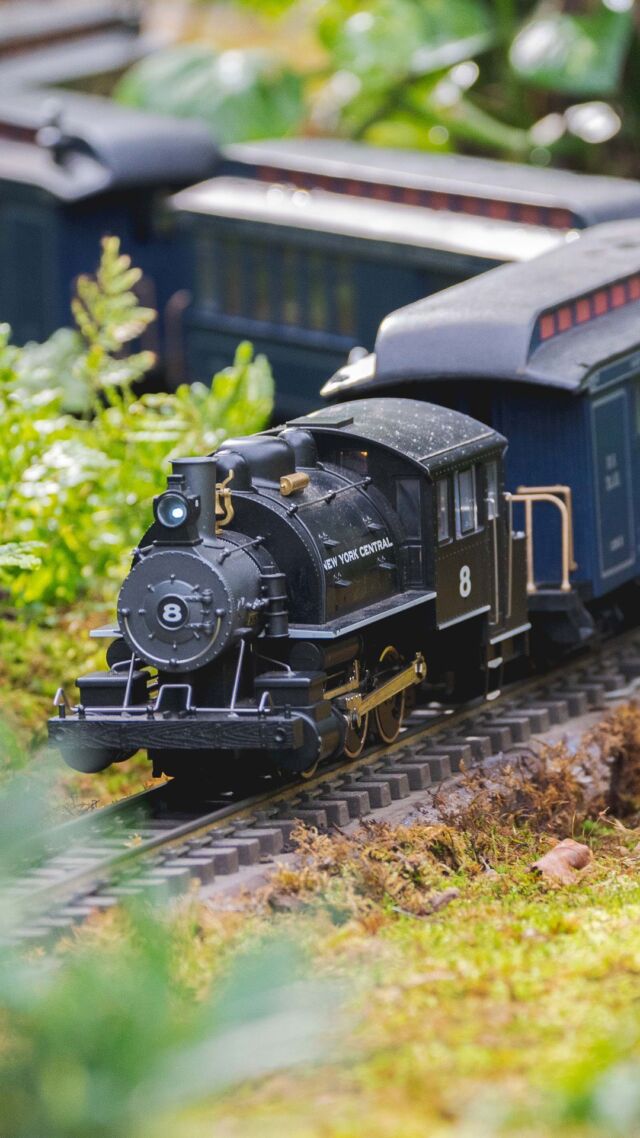 Holiday Train Show and NYBG GLOW tickets are NOW on sale—and with cool weather just around the corner, don’t wait! 🚂❄️
 
The Holiday Train Show returns bigger than ever with an ALL NEW outdoor train display!! You can watch trains zip past iconic New York landmarks in the warmth of the Conservatory, or head outside onto the lawn to capture your perfect holiday photos at our outdoor mountainscapes. After dark, join us for NYBG GLOW and discover the beauty of our landscape and historic buildings, illuminated across the grounds. And don’t miss the return of our fan-favorite Bar Car Nights, 21-and-over evenings featuring the Holiday Train Show and curated cocktails.
 
Visit the link in our bio to get tickets for your preferred dates now—they have been known to sell out!

#HTSNYBG #NYBGglow #BarCarNights