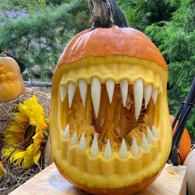 Spooky season fanatics, your time is now: Fall-O-Ween comes to NYBG this weekend! 🎃🍁
 
The Garden is your pumpkin headquarters starting this Saturday, September 16, kicking off with appearances by master pumpkin carver @AdamBierton EVERY weekend from now through the end of October. See him transform pumpkins of all shapes and sizes into frightening and fantastical beasts just like these as he works his way up to carving one of the GIANT pumpkins arriving in late October.
 
From free mini pumpkins to decorate here and take home; to evening events for kids and families during Spooky Garden Nights; a pumpkin patch to purchase your future jack-o’-lantern; and the arrival of fall foliage on the horizon, there’s plenty for all ages to enjoy this fall at NYBG. Hit the link in our bio to learn more and grab your tickets.
 
#FallOWeen