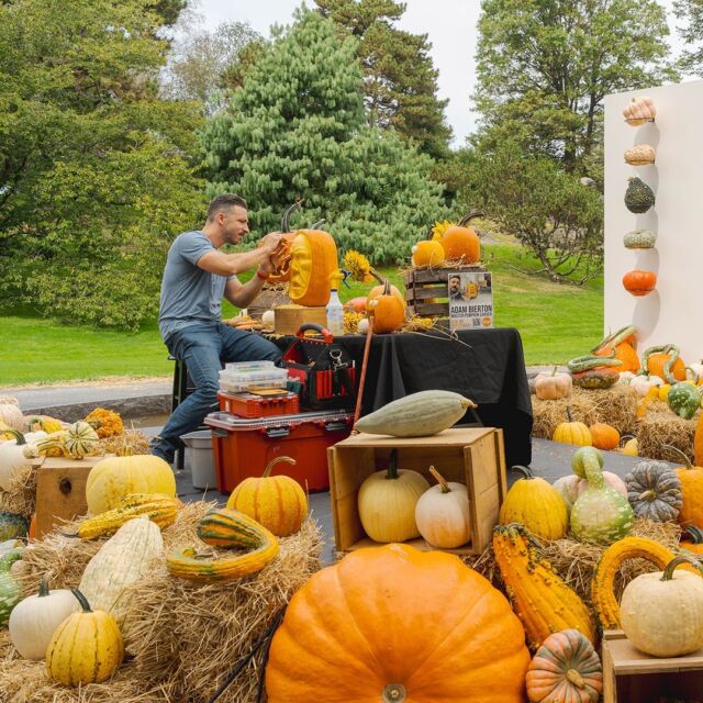 We’re dreaming about crisp air, cozy coats, jack-o’-lanterns, and all the colorful leaves to come. Fall starts this Saturday! 🍂

As your Pumpkin Headquarters, the Garden is decked out in hues of orange, red, and yellow, with grinning gourds setting the scene. Watch master carver @adambierton create fearsome jack-o'-lanterns every weekend until the end of October, and use the creativity he inspires on one of the live pumpkins you can buy at NYBG Shop to take home and carve. Be sure to get your tickets for Bales & Ales later this month, where you can enjoy craft beers, lawn games, and live music. And there's plenty to do for the little ones, too, including Spooky Garden Nights, where they'll don their Halloween costumes for an after-dark adventure along our winding trails.

Don't miss the beauty and excitement of New York City's most beautiful landscape in this season of change—visit the link in our bio to get your tickets!

#FallOWeen #BalesAndAles #SpookyGardenNights