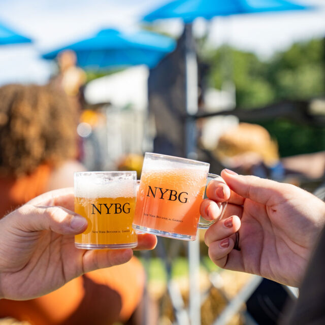 Bales & Ales will now be on Sunday, October 1. Limited tickets are still available! Lets cheers the rain away with some pumpkin and beer! https://www.nybg.org/visit/admission/?keyword=tickets