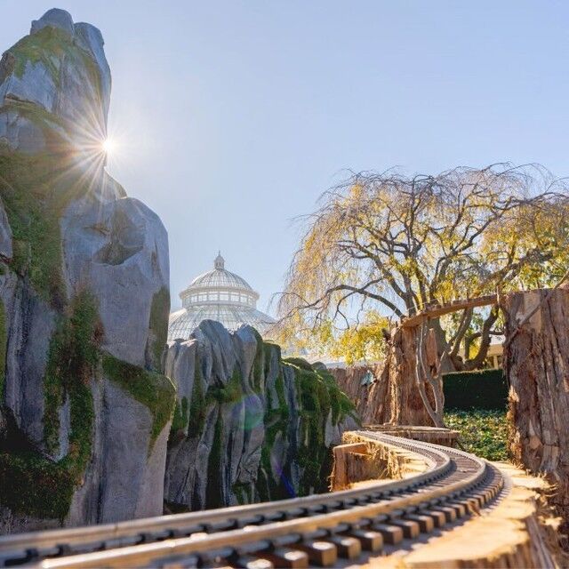The Holiday Train Show and NYBG GLOW open next Friday, and we’re right on track to unveil something new! 🚂🌲
 
Kick off the season starting November 17 with a visit to NYC’s favorite holiday experience, where our ALL-NEW outdoor train display creates the PERFECT spot for your holiday photos. Then get toasty indoors as trains zip past iconic New York landmarks under the warmth of the Conservatory. Once the sun sets, grab a drink and set out for NYBG GLOW, where you can soak up the beauty of the Garden illuminated after dark—or pick up tickets to our fan-favorite Bar Car Nights, back this year with evenings for folks 21-and-up to toast the show in style.
 
Visit the link in our bio to get your tickets now as we go all-in on the holiday cheer, and stay tuned for more reveals as the show nears!

#HTSNYBG #NYBGglow #BarCarNights