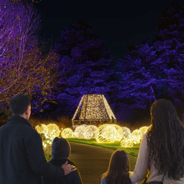 A warming winter drink, thousands of dazzling holiday lights, and YOU. Treat yourself to NYBG GLOW starting this Friday! 🎁✨

Don't miss November 17’s opening night—enjoy the Garden’s iconic landscapes during New York's biggest holiday celebration, right here in the Bronx. Dazzling, choreographed lights and sound and picture-perfect installations await you. You can also explore the Holiday Train Show after hours! Marvel at our all-new outdoor train display, then head inside to watch model trains zip past iconic New York landmarks under the warmth of the Conservatory. Make the evening complete with a stop at our special pop-up of local bites from the @BronxNightMarket.

Light up your holiday season 💡! Get your tickets for this Friday through the link in our bio.

#HTSNYBG #NYBGglow