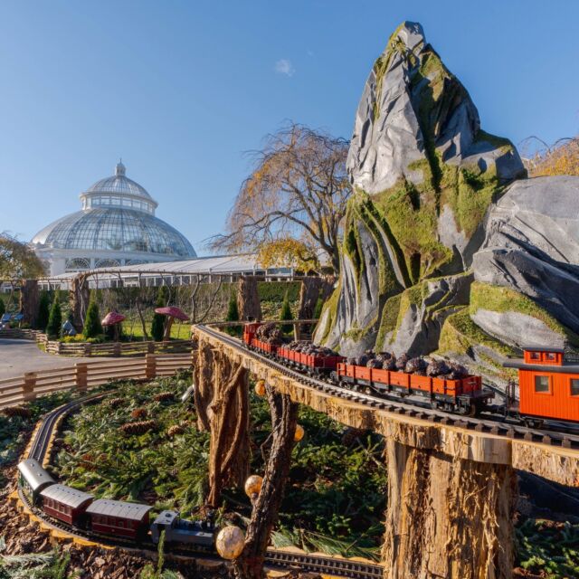 TONIGHT is the big night—the Holiday Train Show opens with NYBG GLOW kicking off at 5 p.m., and we can't wait to share it with you! 🚂💡⭐️

Want to join in? Be the first to see the ALL-NEW outdoor train display featuring enchanted mountainscapes and other fantastical details on the lawn. Then head inside for a cozy view of model trains zipping past nearly 200 iconic New York landmarks under the warmth of the Conservatory. And with our dazzling outdoor spectacle of lights and sound to explore, GLOW makes for the perfect opportunity to capture your holiday photos. 📸

Visit the link in our bio to get your tickets now as we head into opening weekend, and follow along with our story updates tonight and throughout the weekend as we share peeks into NYC's favorite holiday tradition!

#HTSNYBG #NYBGglow