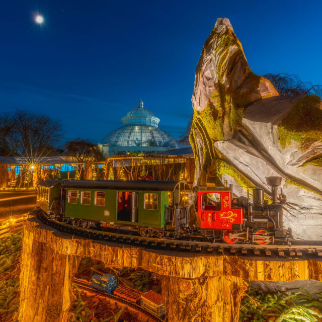 No time like the present to shake off that filling holiday meal in NYC's most beautiful 250 acres—and keep the celebration going with friends and loved ones as we light up the Garden this weekend! 🎉💡
 
With the Holiday Train Show in full swing throughout the weekend, and NYBG GLOW on Friday and Saturday night bringing all the twinkling fun of the holiday season—complete with light bites from the @BronxNightMarket, warming winter drinks, and brilliantly lit landscapes and architecture to explore—you don't want to miss out on this year's show.
 
Grab your family, your camera, and your favorite winter hat, and visit the link in our bio to get your tickets now. 🎟️
 
#NYBGglow #HTSNYBG