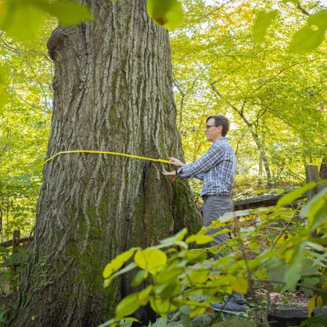 Have you shared your love for the planet lately? While we celebrate Earth all year round, #EarthMonth is a great opportunity to get together in its honor! 🌎🌳
 
Hit the link in our bio to see what’s happening at the Garden on-site and online, with spotlights on important work being done by our scientists (like Dr. Brad Oberle here, documenting the growth over time of trees in our urban forest!), ways you can be more Earth-friendly at home, and our BIG #EarthDay celebration on April 20—with an open house to meet our staff and tours of our STUNNING spring collections.