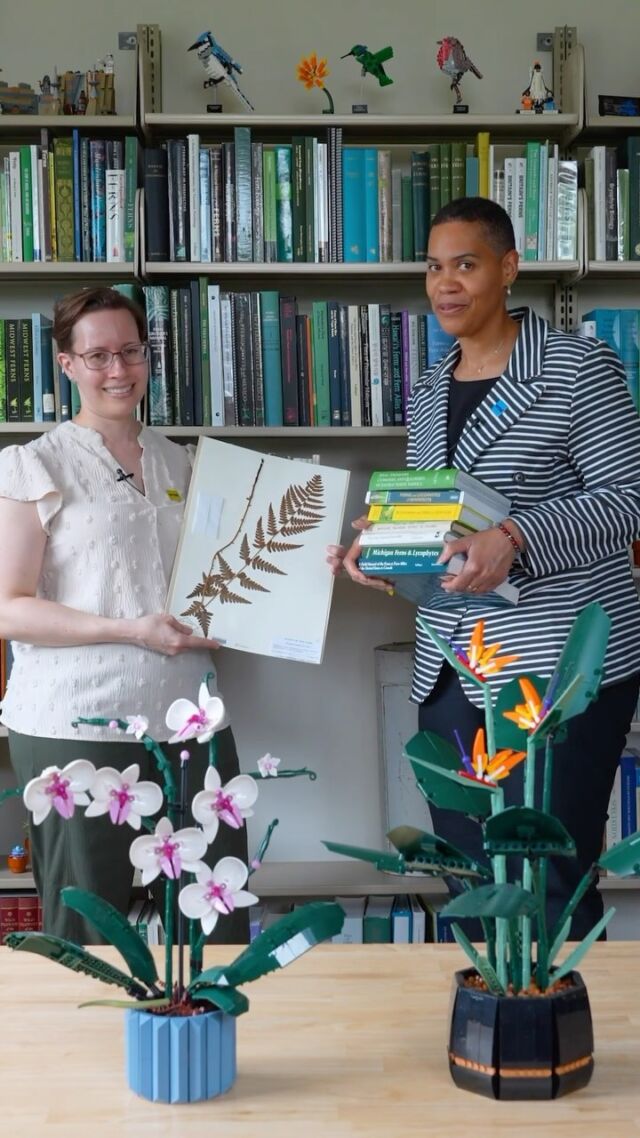 Our FIRST EPISODE of the all-new podcast Plant People is now live, and we’re diving straight into over 130 years of historic Garden collections. 📚🎧

In our inaugural episode, get to know Rhonda Evans, Director of our LuEsther T. Mertz Library, and Dr. Emily Sessa, Director of our Steere Herbarium, as they take us inside our archives of botanical books and plant specimens that represent so much of humanity’s plant knowledge (and can you tell that Dr. Sessa is also an avid @lego collector?). They’ll dig into the ways our Library’s incredible collections are preserving centuries of information important to our understanding of the plant world today, and share how herbarium specialists use plant specimens—including some gathered by Charles Darwin himself—to help us understand our planet’s future.

Hit the link in our bio to listen to Plant People from NYBG and @prxofficial now, and be sure to subscribe, rate, and review!

#PlantPeople