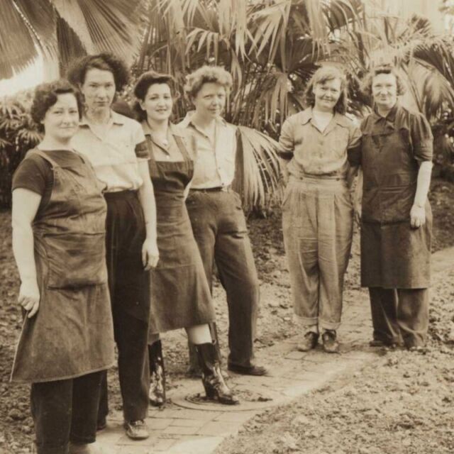 From the very first women gardeners at NYBG, to today's adventurous scientists and community-building urban agriculturists, there's plenty to explore during #WomensHistoryMonth at the Garden. 

Throughout March, dive into the work that not only made the Garden the cultural institution it is today—but contributed to advancements in science, horticulture, and education that even now continue to steer our work to protect the planet and empower communities. Learn more through link in bio.