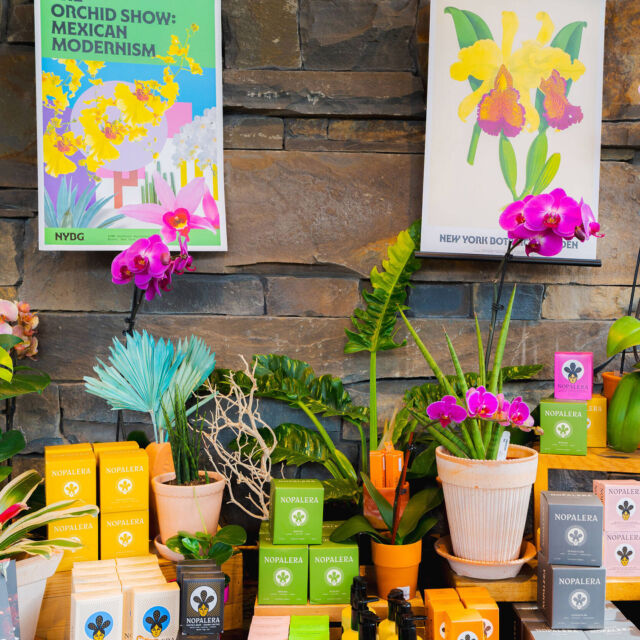 With @NYBGShop now on Instagram, it’s easy to find the perfect gift from The Orchid Show: Mexican Modernism (and it’s still a gift if you give it to yourself!) 🎁🌺
 
Hop over and give us a follow there to see the best new items from NYBG, including apparel, gardening gear of all sorts, home decor, specialty items from local makers, and of course—stunning live orchids and other diverse houseplants to bring nature into your home.
 
Even when you can’t make it to the Garden, the Shop’s always open online!

#OrchidNYBG #MexicanModernism