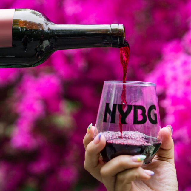The spring scenery’s even better with a glass of wine, and Spring Uncorked combines the best of both. 🍷🌼🐝

Make it a day at NYBG on Saturday, May 17, and grab a glass for unlimited samples from some of the best wineries of the Hudson Valley, Brooklyn, and Long Island. We’ll have live music to relax to as you soak up the seasonal color, plus crafts, lawn games, and talks on the science behind making great wines. We’ll even have the @LEGO Botanical Garden flower truck here for a make-and-take experience while supplies last. And be sure to grab lunch for sale from a lineup of local food vendors.

Tickets do sell out, so get yours through link in bio now!