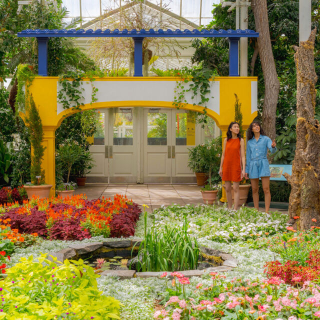 This long weekend is your FIRST chance to see Van Gogh’s Flowers, your LAST chance for the @LEGO Botanical Garden Pop-Up, and the BEST time to soak up spring beauty! 🌼🌸

Join us through this Monday, May 26, for the Opening Weekend Celebration of our latest exhibition, featuring a monumental field of sunflowers and large-scale contemporary art inspired by Vincent van Gogh’s love of nature. Pop on by the LEGO pop-up on its last weekend to make and take your own mini sunflower creation, and be sure to catch the peonies and roses while they’re looking lush and lovely.

You deserve a day out in New York’s most beautiful landscape! Tickets through link in bio.

#VanGoghsFlowers #VanGogh