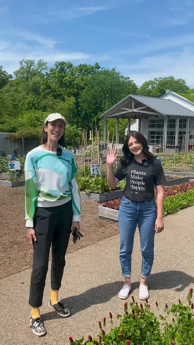 Together with @thesill, we asked for your most pressing plant issues for gardening season, and at the top of the list was one question: “How do I get started when it seems so overwhelming?” 

Thankfully, Annie and Paris are here to help. 👩‍🌾

Hear from the Manager of NYBG’s Edible Academy alongside The Sill’s Head of Plant Education as they share ways to stay committed to your garden, the best plants and plant types to get started with, and other tips and tricks for finding your footing as a green thumb. Stay tuned for more gardening questions asked and answered as we make our way toward summer!